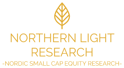 Northern light research LOGO